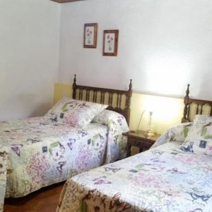 Casa Rural Barangua En El Pirineo Aragones Santa Cruz de la Serós Exterior foto