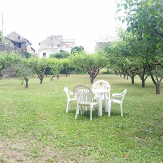 Casa Rural Barangua En El Pirineo Aragones Santa Cruz de la Serós Exterior foto